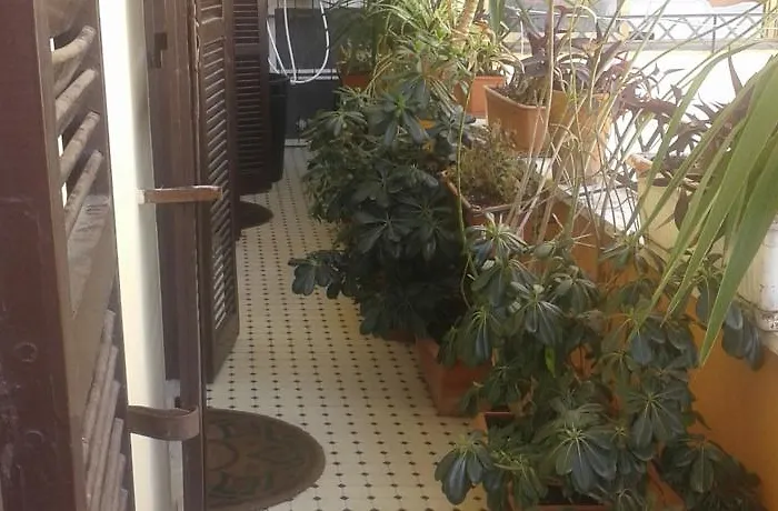 Gasthof The Pope's Window 4*